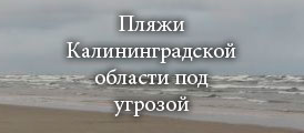 Пляжи Калининградской области под угрозой
