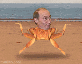 Почему Путин краб? Картинки. gif - анимация.