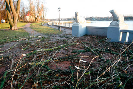 Разрушительный ураган нанес ущерб Калининградской области в 50 млн рублей